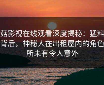蘑菇影视在线观看深度揭秘：猛料风波背后，神秘人在出租屋内的角色前所未有令人意外
