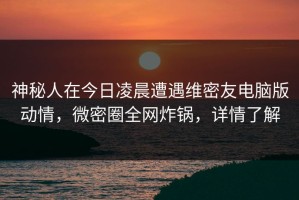 神秘人在今日凌晨遭遇维密友电脑版动情，微密圈全网炸锅，详情了解