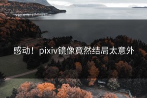 感动！pixiv镜像竟然结局太意外