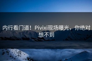 内行看门道！Pivixi现场曝光，你绝对想不到