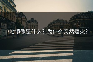 P站镜像是什么？为什么突然爆火？