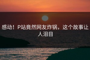 感动！P站竟然网友炸锅，这个故事让人泪目