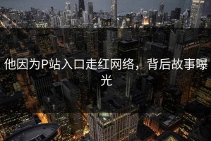 他因为P站入口走红网络，背后故事曝光
