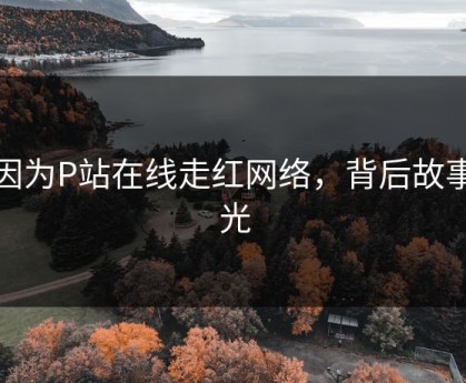 他因为P站在线走红网络，背后故事曝光