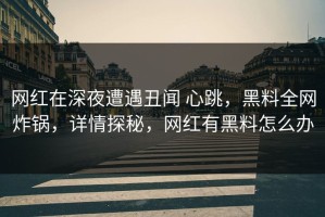 网红在深夜遭遇丑闻 心跳，黑料全网炸锅，详情探秘，网红有黑料怎么办