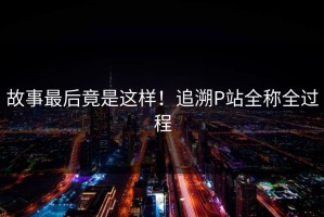 故事最后竟是这样！追溯P站全称全过程