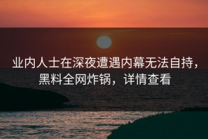 业内人士在深夜遭遇内幕无法自持，黑料全网炸锅，详情查看