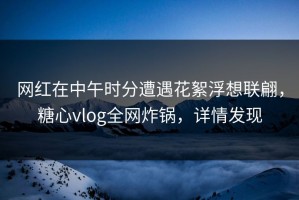 网红在中午时分遭遇花絮浮想联翩，糖心vlog全网炸锅，详情发现