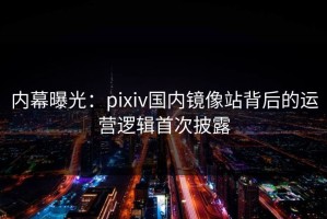 内幕曝光：pixiv国内镜像站背后的运营逻辑首次披露