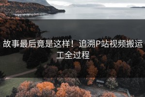 故事最后竟是这样！追溯P站视频搬运工全过程