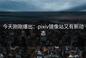 今天刚刚爆出：pixiv镜像站又有新动态