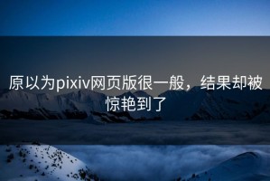 原以为pixiv网页版很一般，结果却被惊艳到了