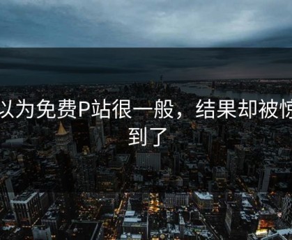 原以为免费P站很一般，结果却被惊艳到了