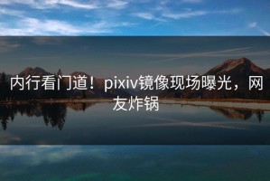 内行看门道！pixiv镜像现场曝光，网友炸锅