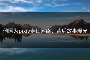 他因为pixiv走红网络，背后故事曝光