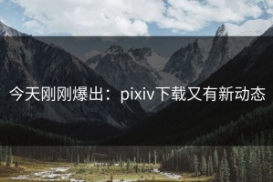今天刚刚爆出：pixiv下载又有新动态