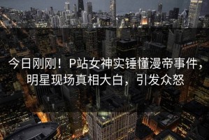 今日刚刚！P站女神实锤懂漫帝事件，明星现场真相大白，引发众怒