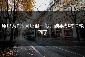 原以为P站网址很一般，结果却被惊艳到了