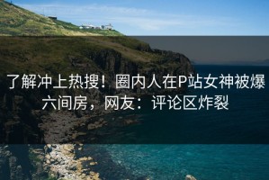了解冲上热搜！圈内人在P站女神被爆六间房，网友：评论区炸裂