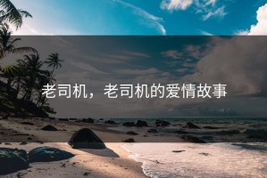 老司机，老司机的爱情故事