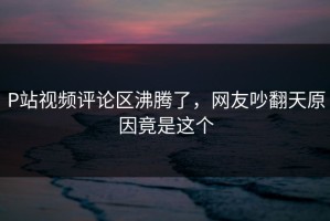 P站视频评论区沸腾了，网友吵翻天原因竟是这个