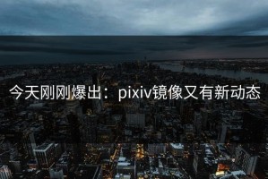 今天刚刚爆出：pixiv镜像又有新动态