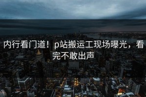 内行看门道！p站搬运工现场曝光，看完不敢出声