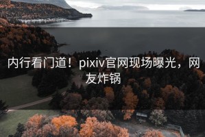 内行看门道！pixiv官网现场曝光，网友炸锅