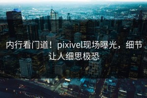 内行看门道！pixivel现场曝光，细节让人细思极恐