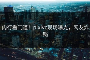 内行看门道！pixivc现场曝光，网友炸锅