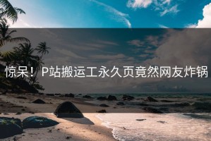 惊呆！P站搬运工永久页竟然网友炸锅