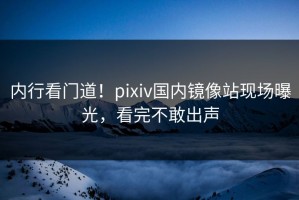 内行看门道！pixiv国内镜像站现场曝光，看完不敢出声