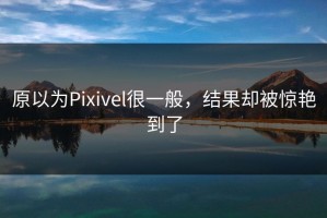 原以为Pixivel很一般，结果却被惊艳到了