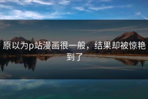 原以为p站漫画很一般，结果却被惊艳到了