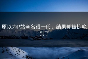 原以为P站全名很一般，结果却被惊艳到了