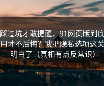 我踩过坑才敢提醒，91网页版到底怎么用才不后悔？我把隐私选项这关踩明白了（真相有点反常识）