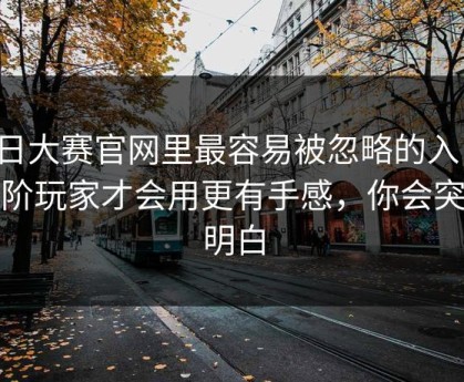 每日大赛官网里最容易被忽略的入口：进阶玩家才会用更有手感，你会突然明白