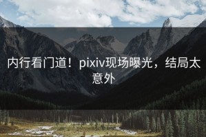 内行看门道！pixiv现场曝光，结局太意外