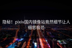 隐秘！pixiv国内镜像站竟然细节让人细思极恐