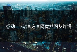 感动！P站官方官网竟然网友炸锅