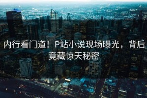内行看门道！P站小说现场曝光，背后竟藏惊天秘密