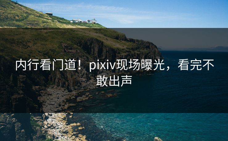 内行看门道！pixiv现场曝光，看完不敢出声