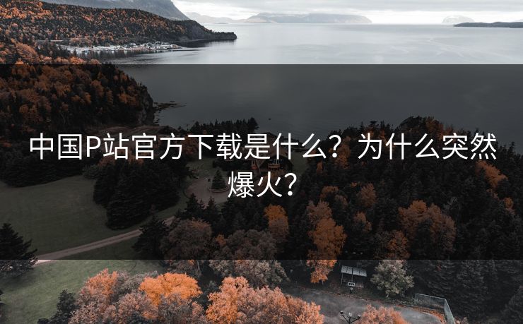 中国P站官方下载是什么？为什么突然爆火？