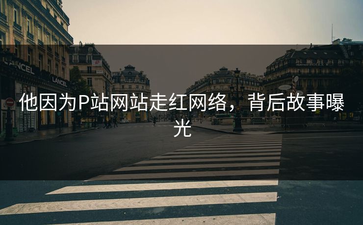 他因为P站网站走红网络，背后故事曝光