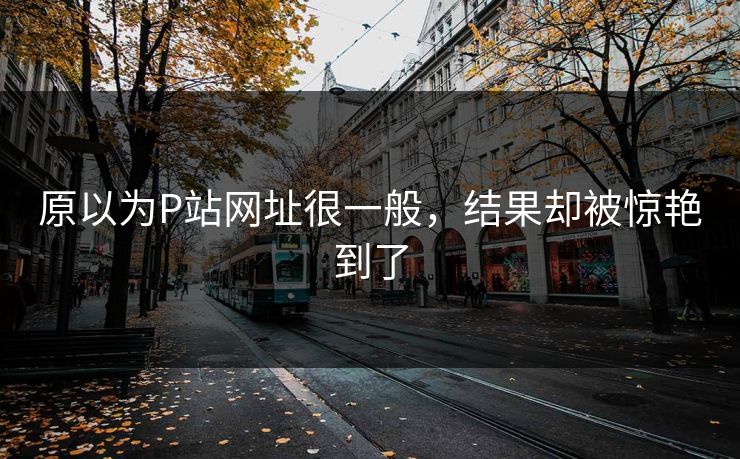 原以为P站网址很一般，结果却被惊艳到了