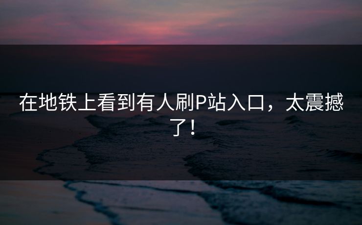 在地铁上看到有人刷P站入口，太震撼了！