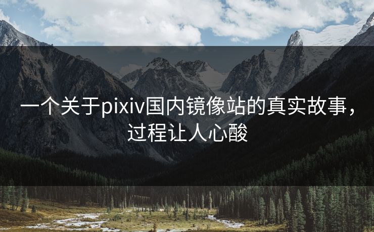 一个关于pixiv国内镜像站的真实故事，过程让人心酸