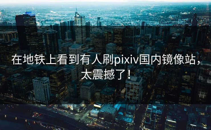在地铁上看到有人刷pixiv国内镜像站，太震撼了！