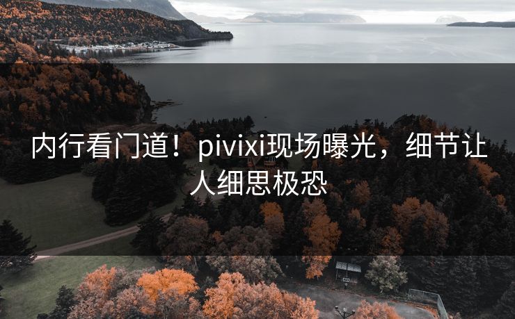 内行看门道！pivixi现场曝光，细节让人细思极恐