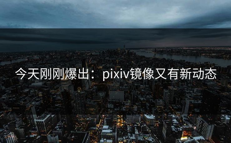 今天刚刚爆出：pixiv镜像又有新动态
